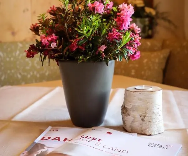 Ferienpension Steiner Pensión