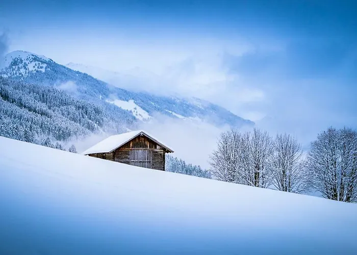 Ferienpension Steiner ゲストハウス