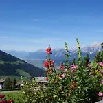 Ferienpension Steiner 3* Weerberg