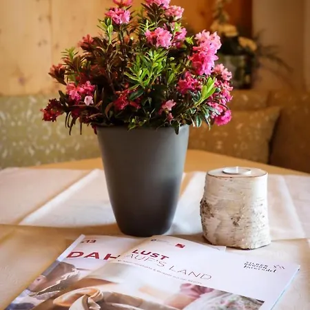 Ferienpension Steiner 招待所