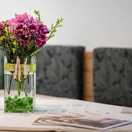 Ferienpension Steiner 招待所