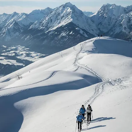 Ferienpension Steiner 韦伯格