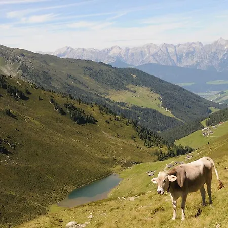 Ferienpension Steiner 招待所 3*