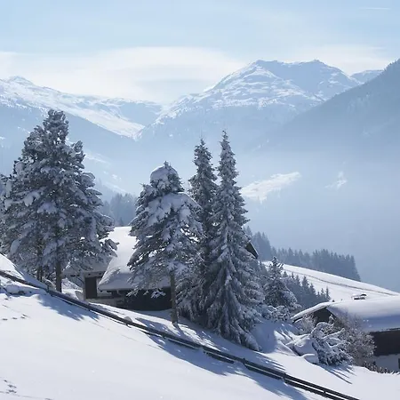 Ferienpension Steiner 韦伯格