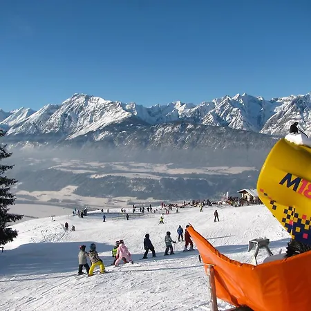 招待所 Ferienpension Steiner 韦伯格