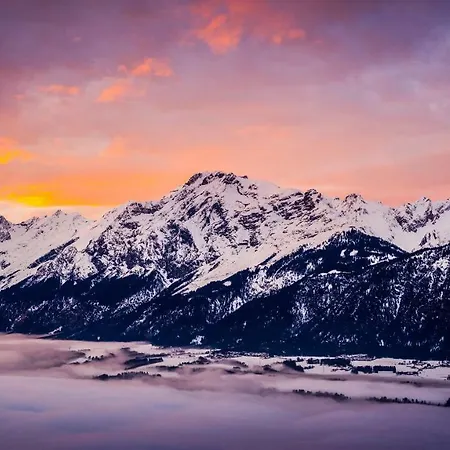 Ferienpension Steiner 招待所