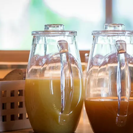 招待所 Ferienpension Steiner 3*