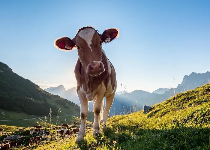 Ferienpension Steiner Pensjonat 3*