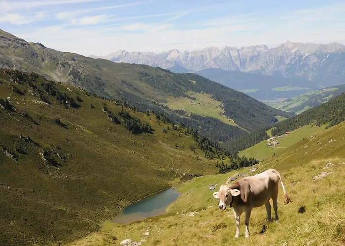 Ferienpension Steiner Pensjonat 3*